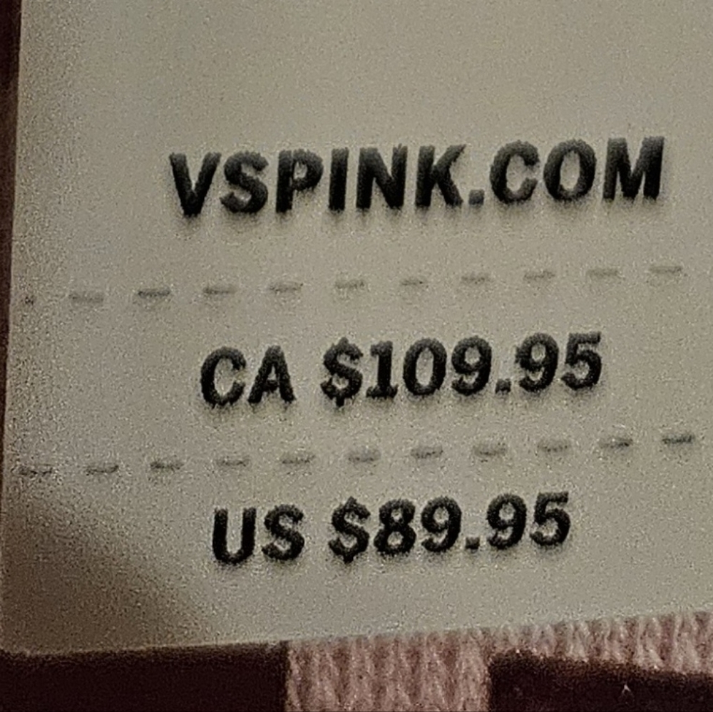 NWT PINK x LoveShackFancy Oversized Hoodie🩷 - Picture 12 of 15